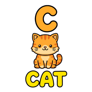 Cat PNG