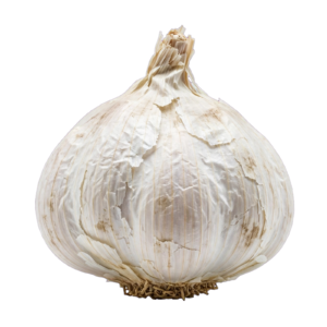 Garlic PNG