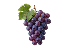Grapes PNG
