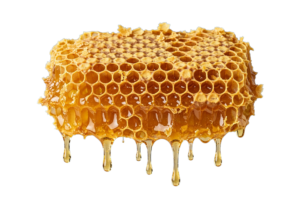 Honeycomb PNG