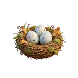 Nest PNG