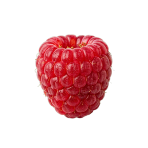 Raspberry PNG