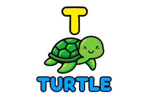 Turtle PNG