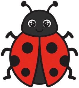 Ladybug PNG